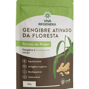 Gengibre Ativado da Floresta Raízes de Poder - 60g - Viva Regenera